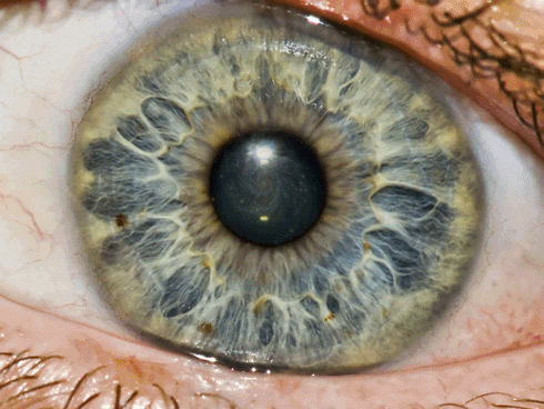 Visualization - Word of the Week