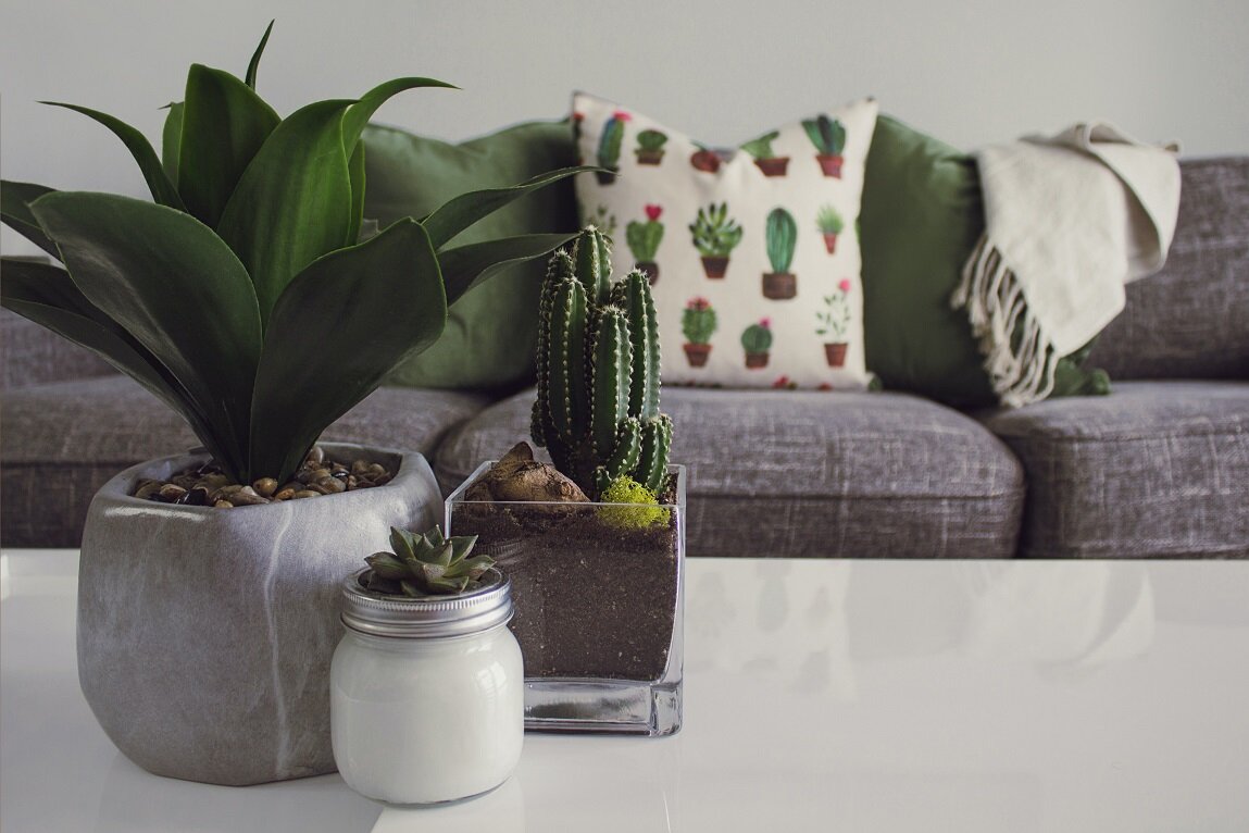12 Symbols in Feng Shui & Their Meaning