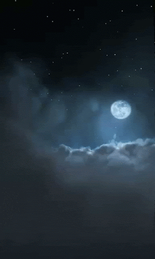 Moon Phases: Waxing Moon (First Quarter) - Walking your Talk