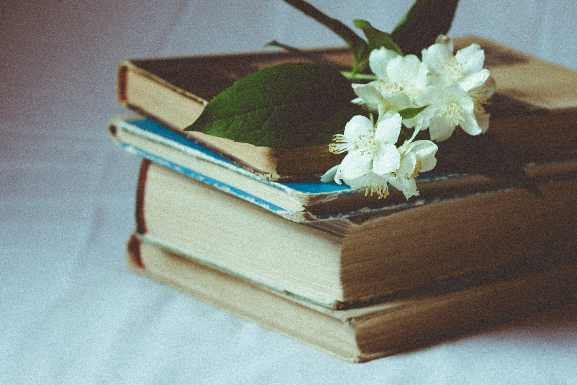 Book of the Week – Inside the Other Side: Soul Contracts, Life Lessons, and How Dead People Help Us, Between Here and Heaven by Concetta Bertoldi