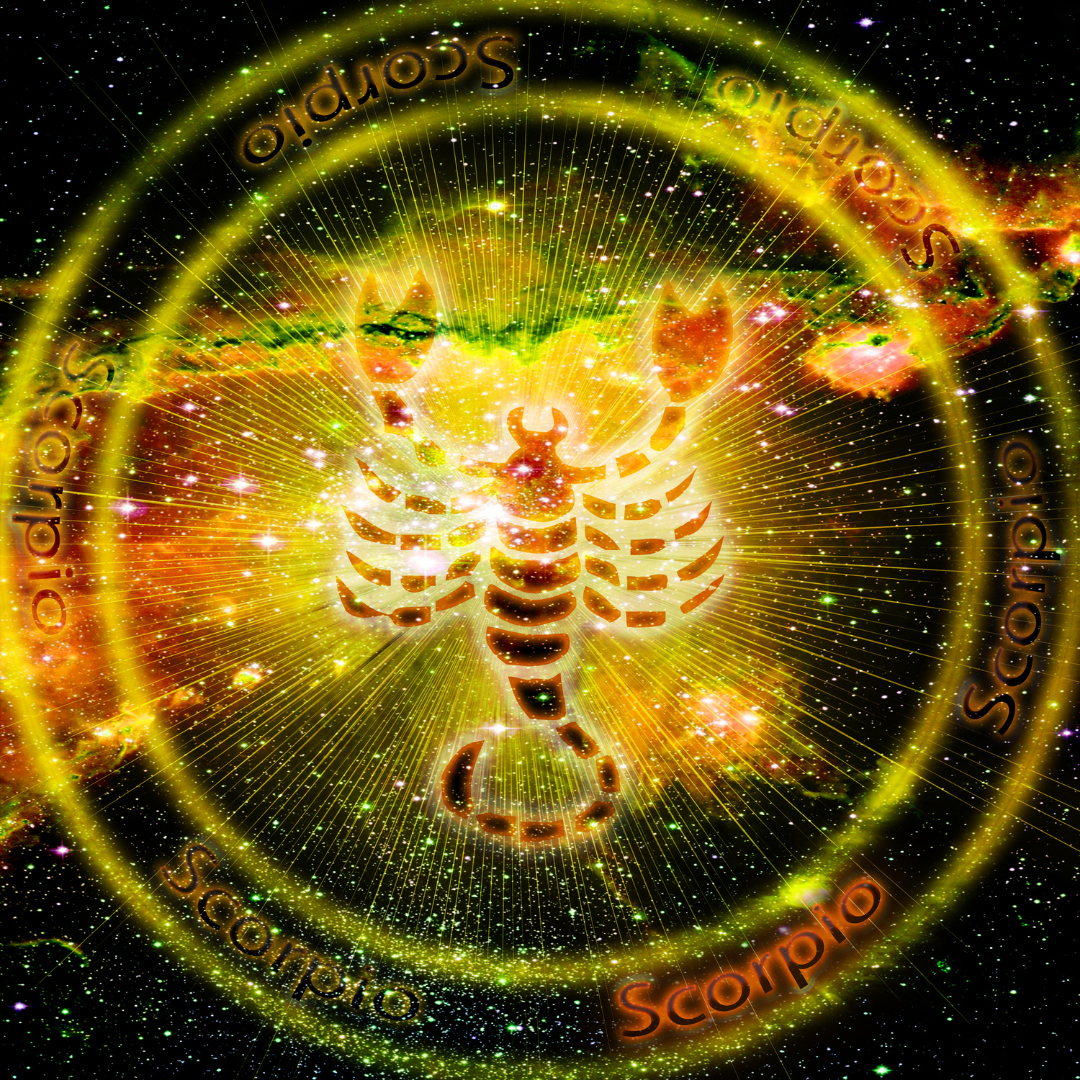 Everyone Has A Little Scorpio