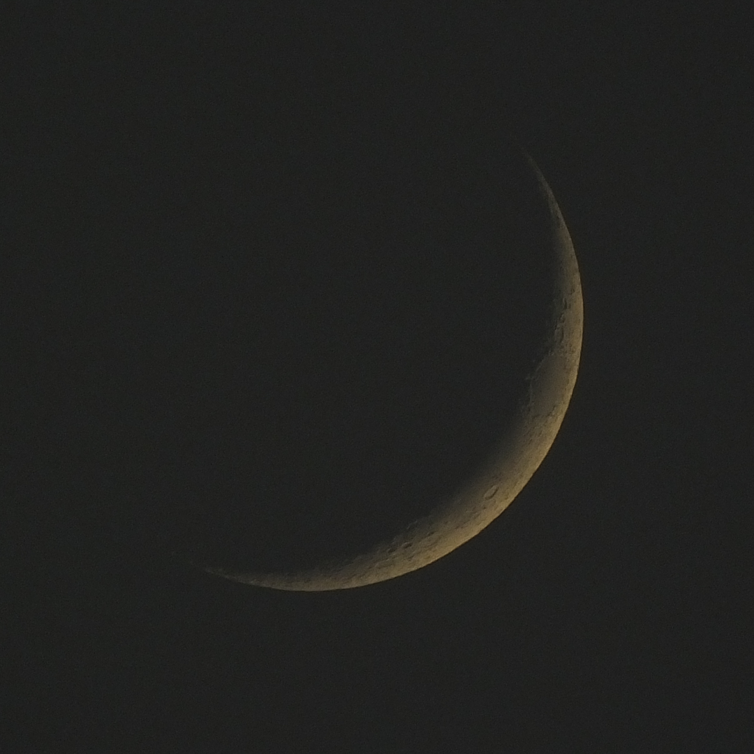 New Moon in March 2019 by Sign
