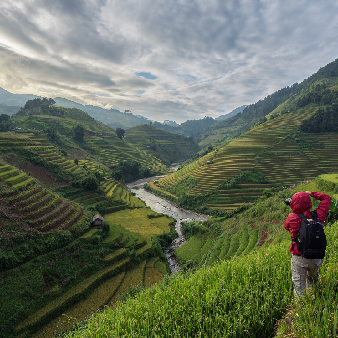 Book of The Week - The Power of Intention Learning to Co-create Your World Your Way by Wayne Dyer