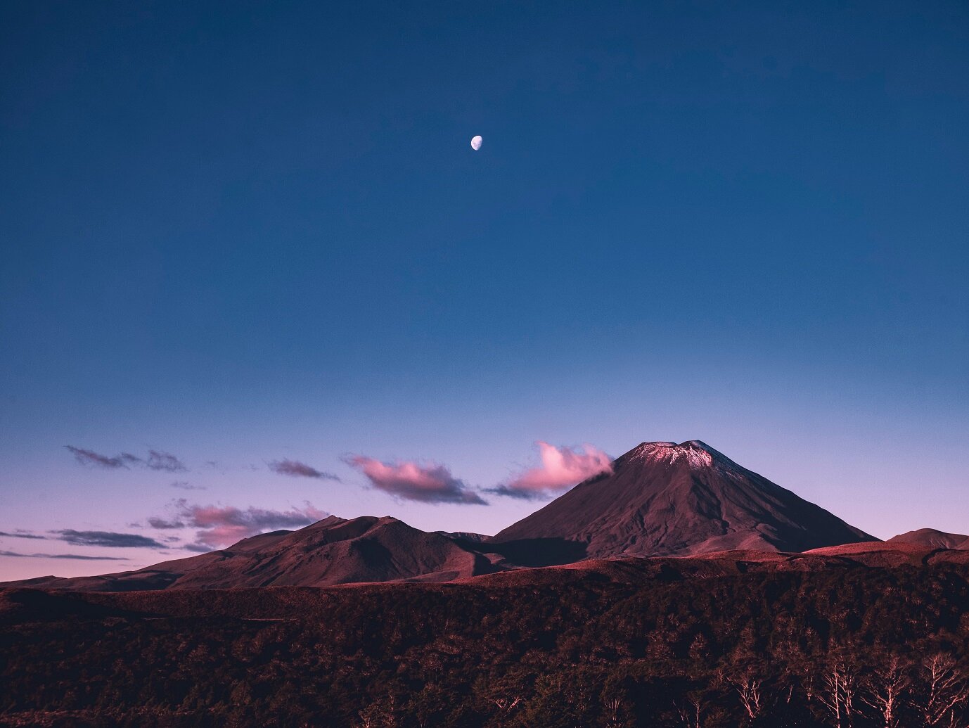 Astro Alert: New Moon In Taurus Incoming!