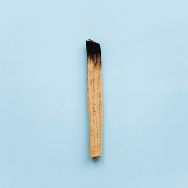 Palo Santo Holy Wood Stick | My Little Magic Shop
