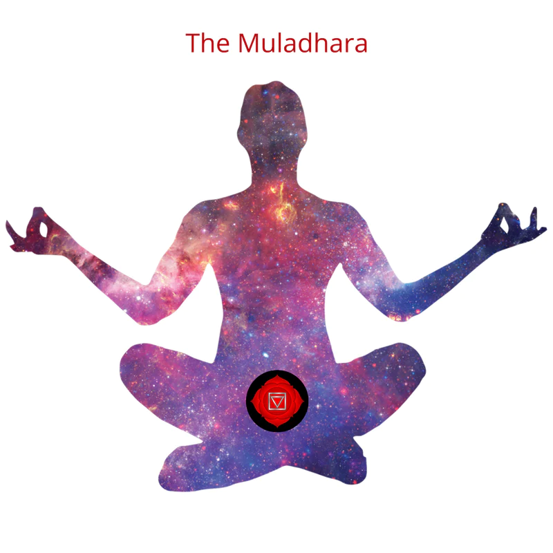 The Root Chakra: A Comprehensive Guide to Balancing Your Muladhara