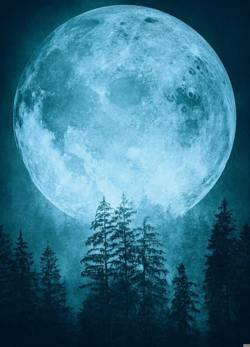 Astro Alert: Full Moon in Capricorn