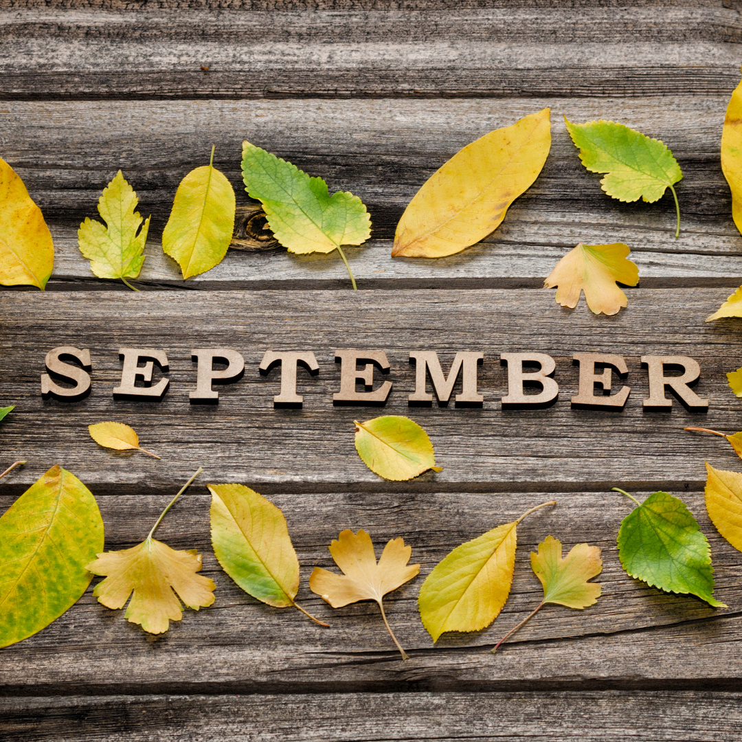 Why September Is the Perfect Time to Get Your S***t Together