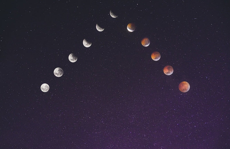 The Lunar Connection: Your Menstrual Cycle And The Moon