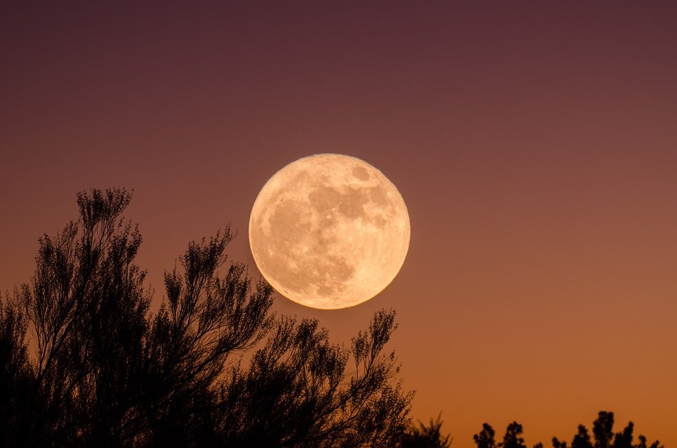 Astro Alert: Full Moon In Libra Incoming