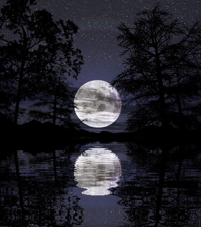 Full Moon: Celestial Harvest
