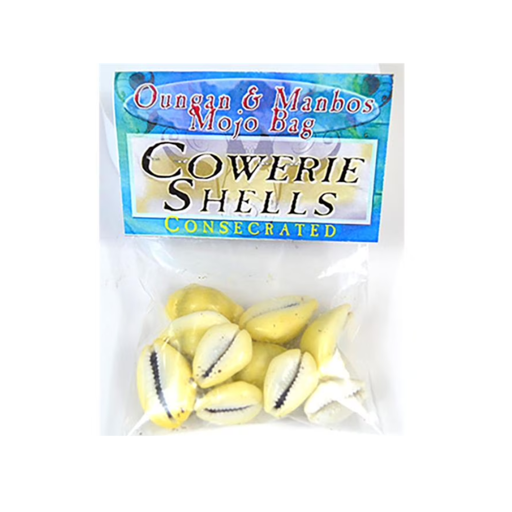 Natural cowrie shells for divination practice