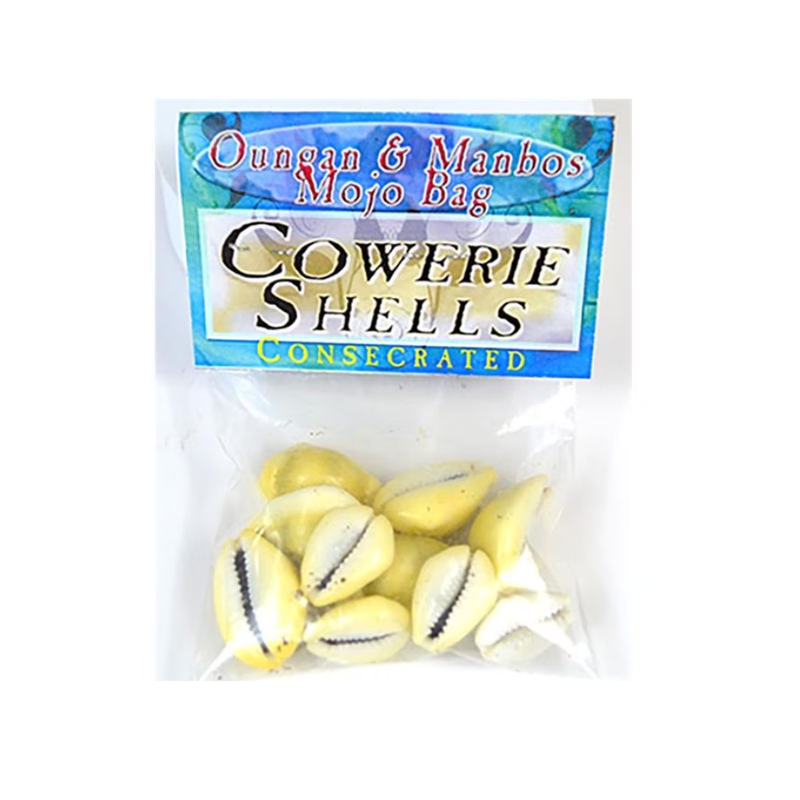 Natural cowrie shells for divination practice