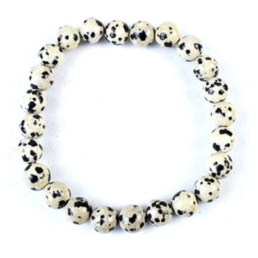 Dalmatian Jasper 8mm bead gemstone bracelet