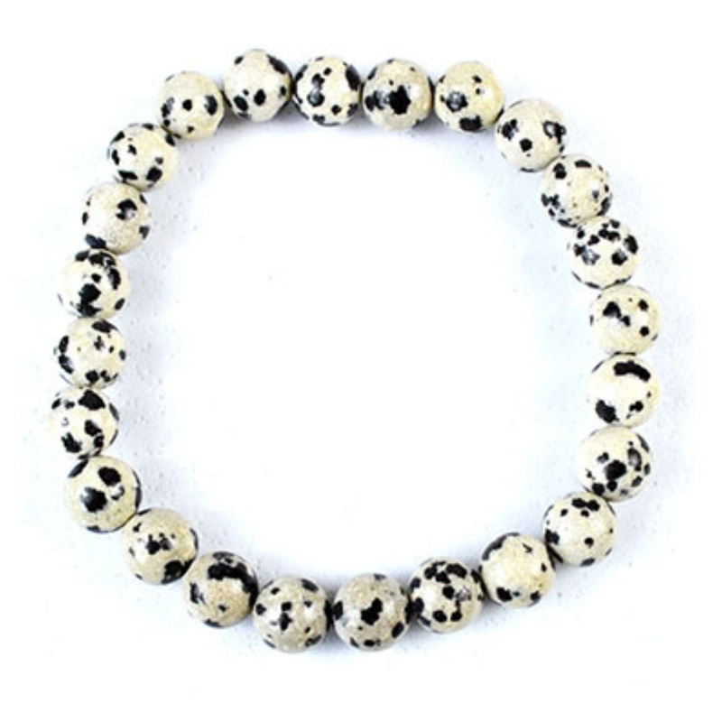 Dalmatian Jasper 8mm bead gemstone bracelet