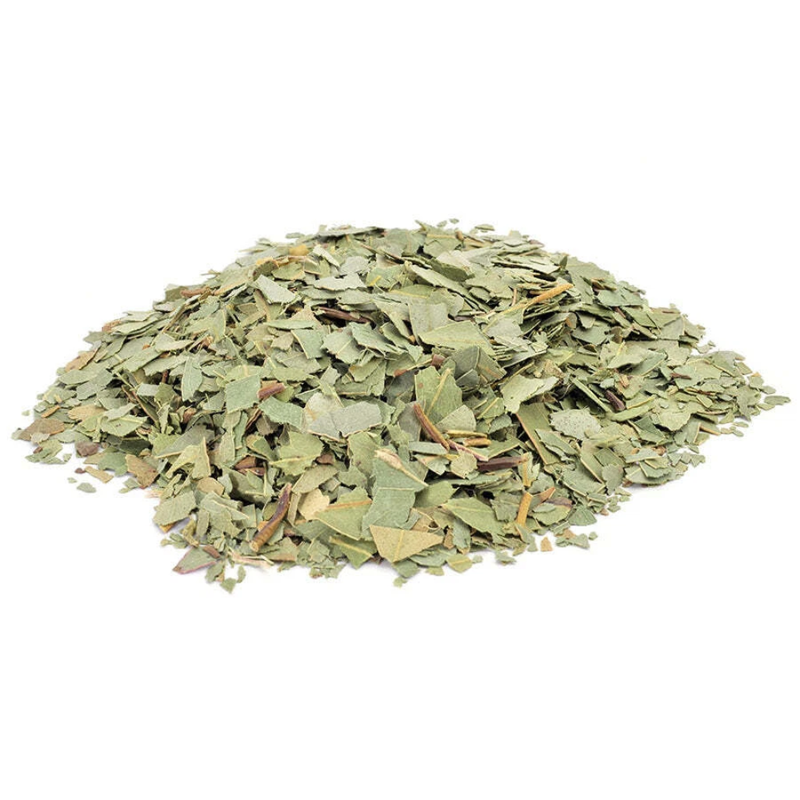 1oz Eucalyptus globulus for healing and purification magic