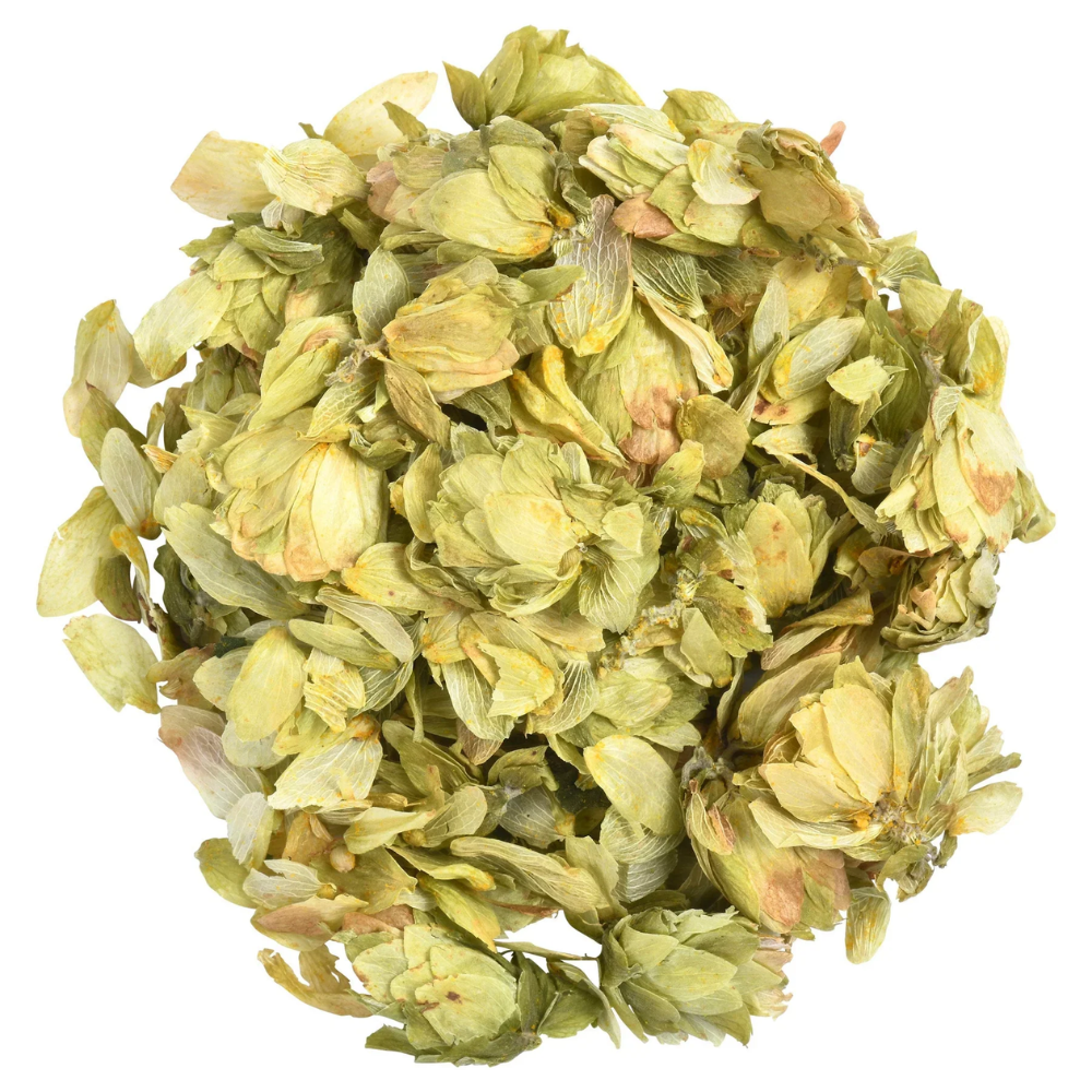 1oz Humulus lupulus hops for sleep and healing magic