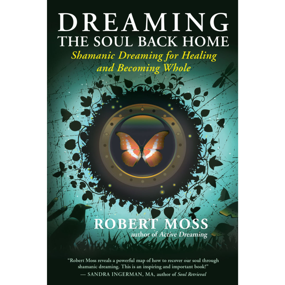 Dreaming the Soul Back Home by Robert Moss