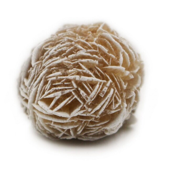 Desert Rose Selenite crystal natural formation
