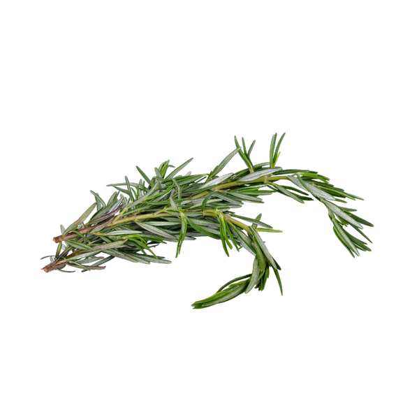 1oz Rosmarinus officinalis rosemary leaf for purification magic