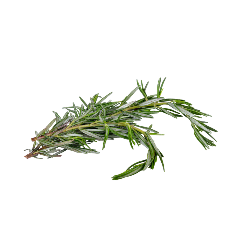 1oz Rosmarinus officinalis rosemary leaf for purification magic