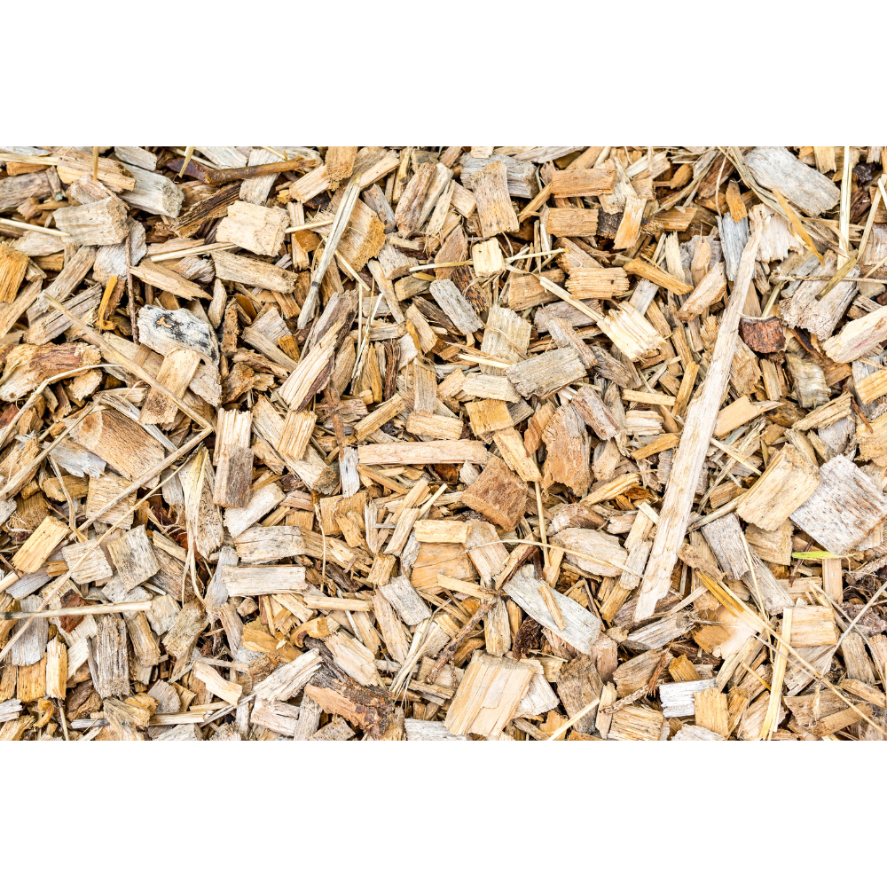 1oz Quercus alba white oak bark for strength and protection magic