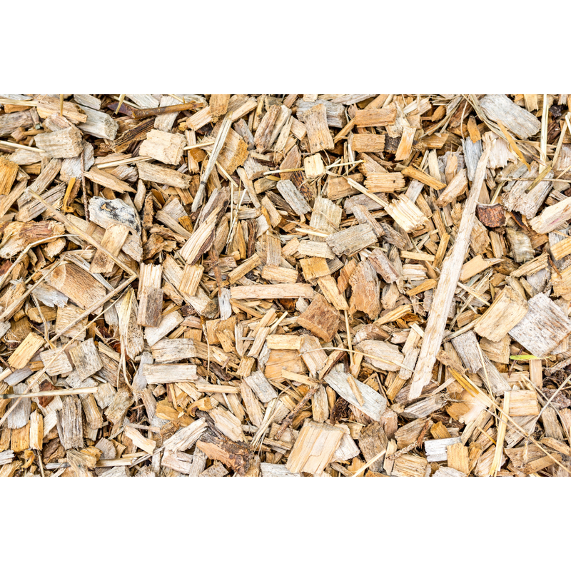 1oz Quercus alba white oak bark for strength and protection magic