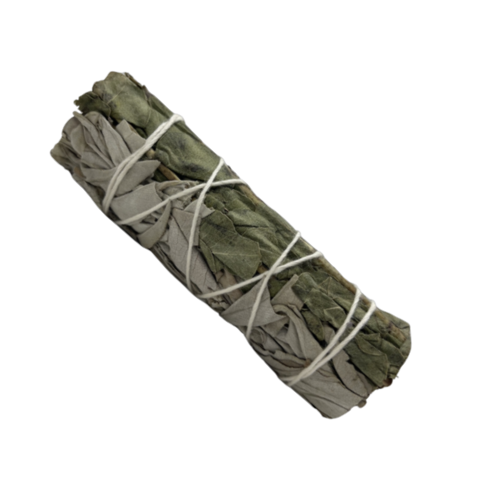 White Sage and Eucalyptus Smudge Stick—ethically bundled for cleansing, clarity, and energetic refreshment.

