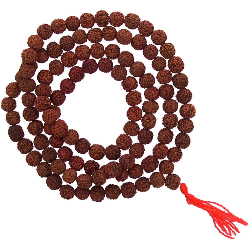 Rudraksha Seeds Mala Beads | My Little Magic Shop