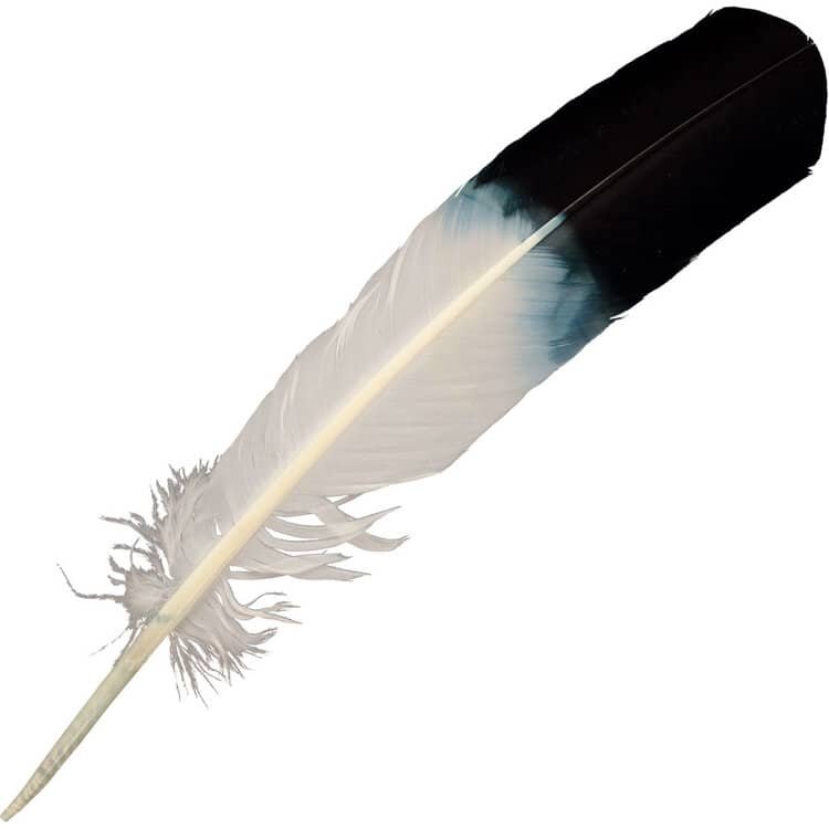 Imitation Eagle Feather | My Little Magic Shop